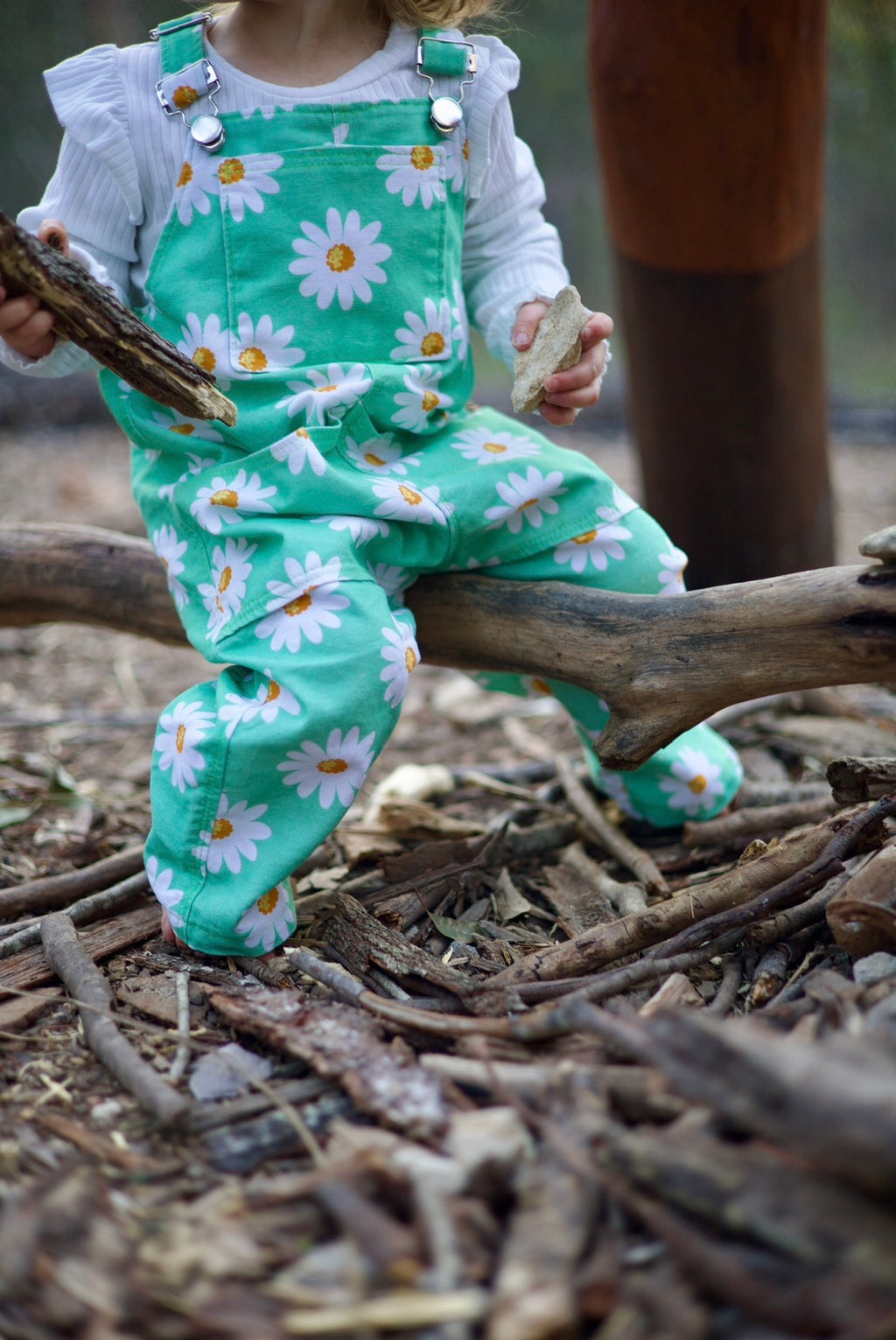 Adventure Overalls 2.0