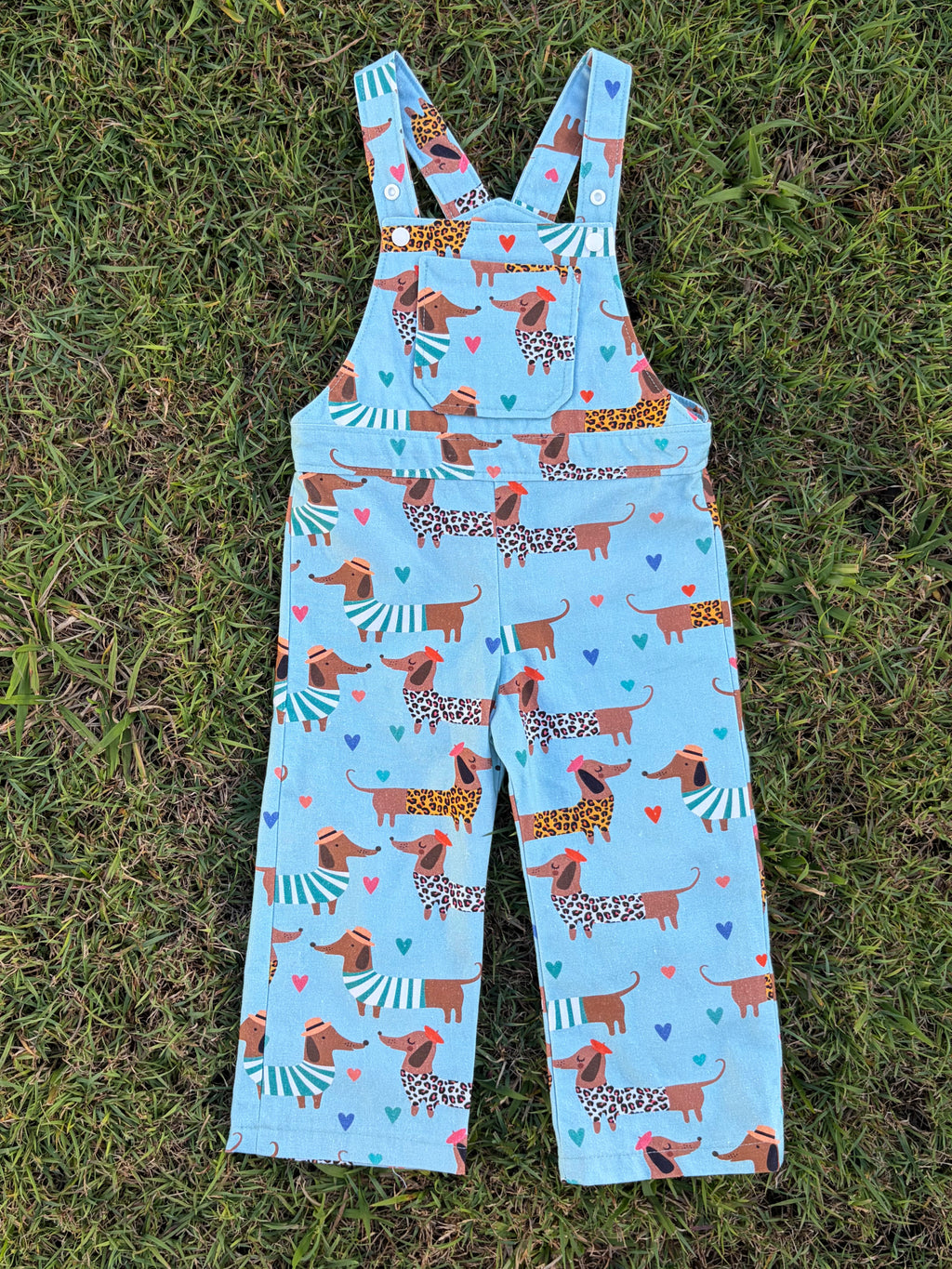 OG Adventure Overalls
