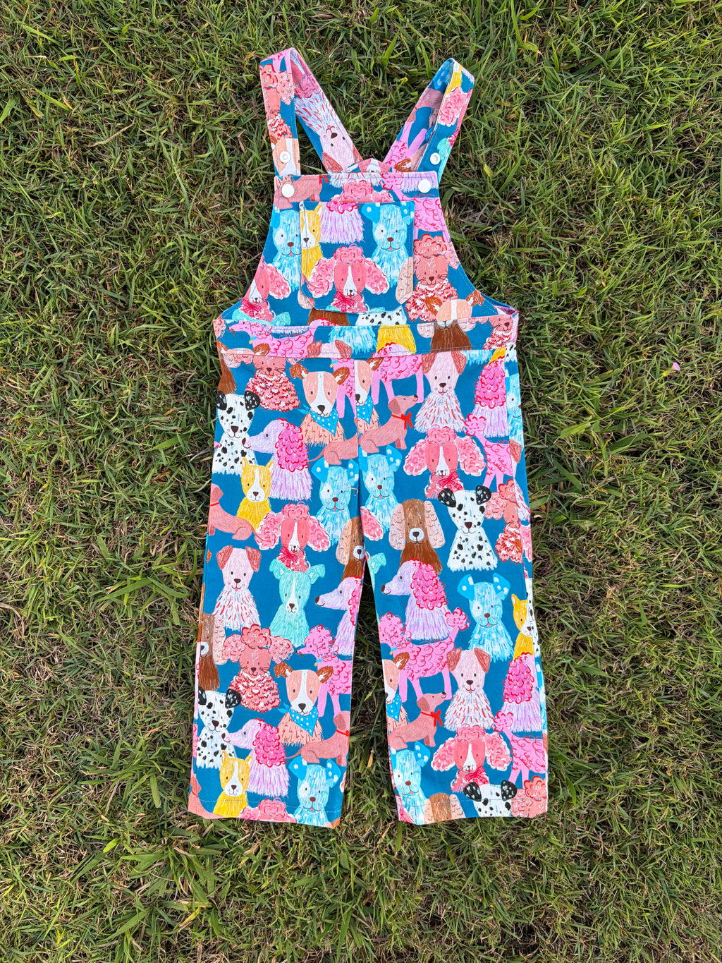 OG Adventure Overalls