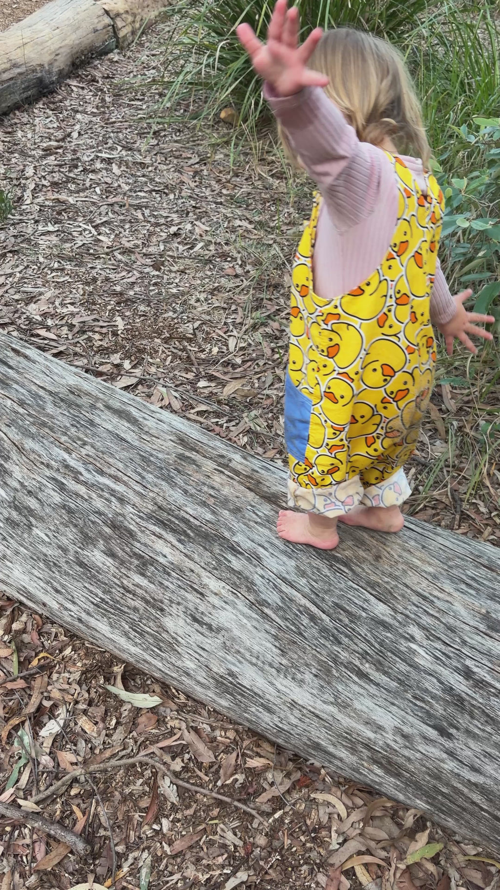 Adventure Overalls 2.0